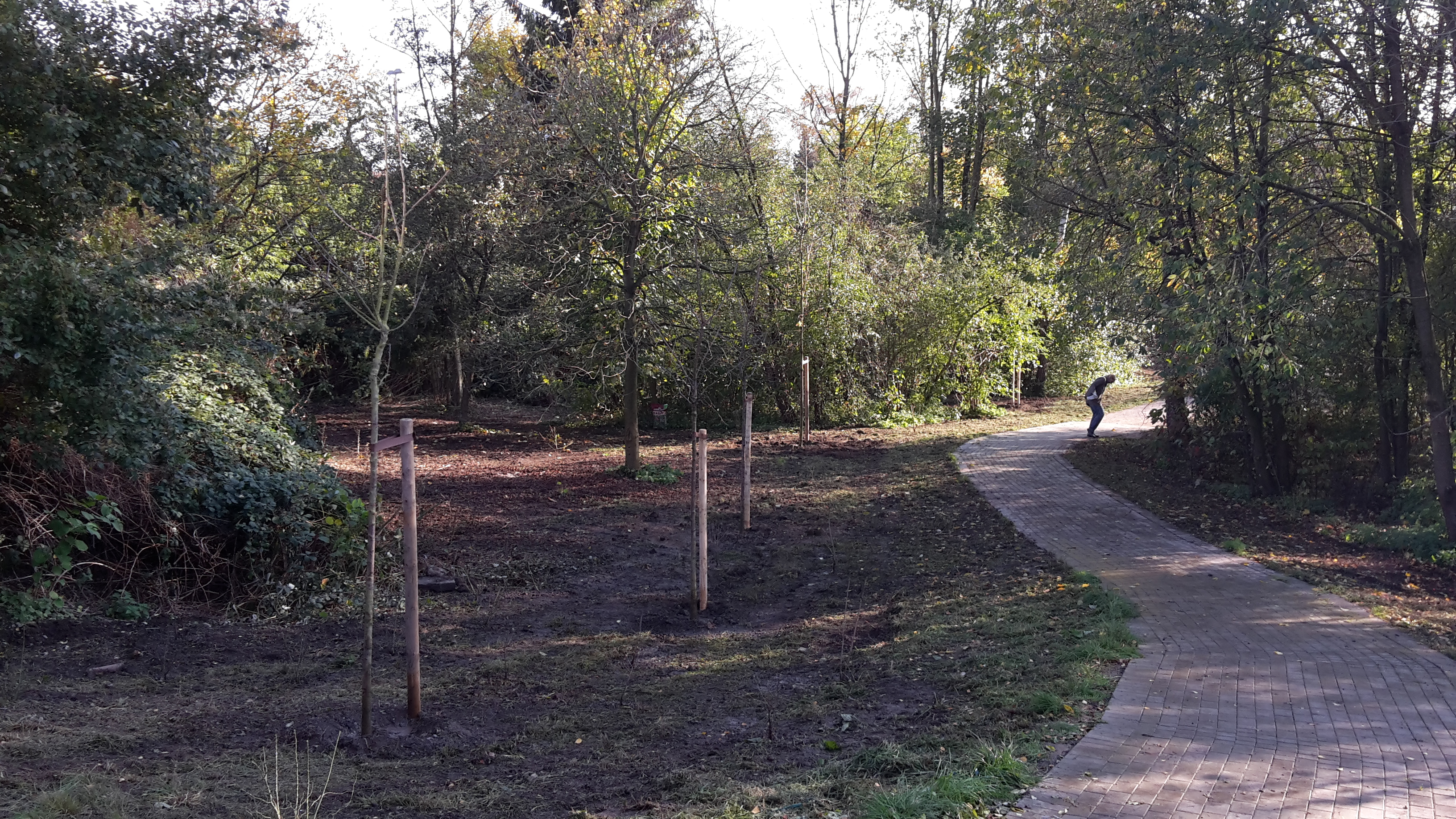 Vom Kreftenscheerweg aus durch den neuen Park